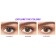 Freshlook CC (10 lens/box)