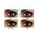Freshlook One Day (10 lens/box)