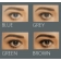 Silklens Color (Yearly Use)